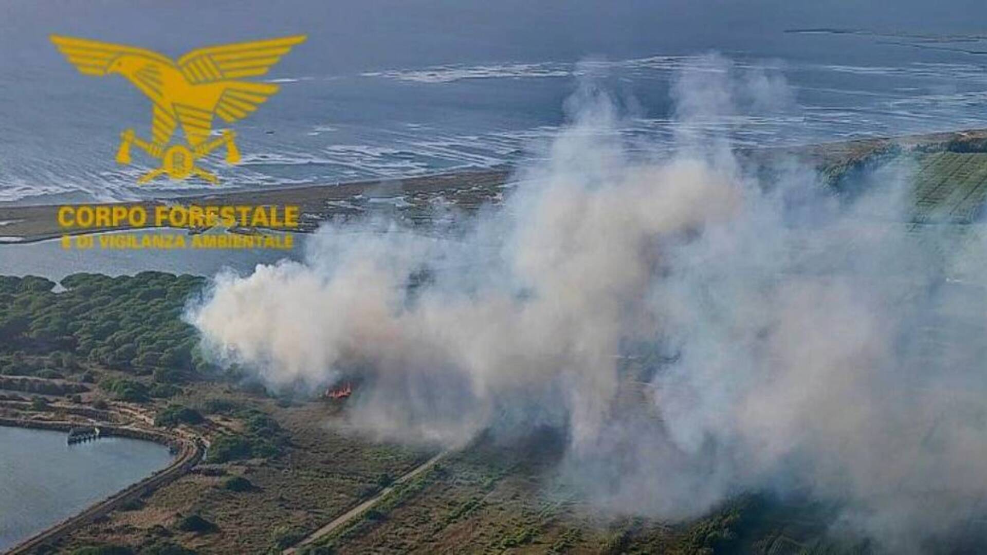 Cinque incendi nel giro di un mese e mezzo: arrestato un uomo