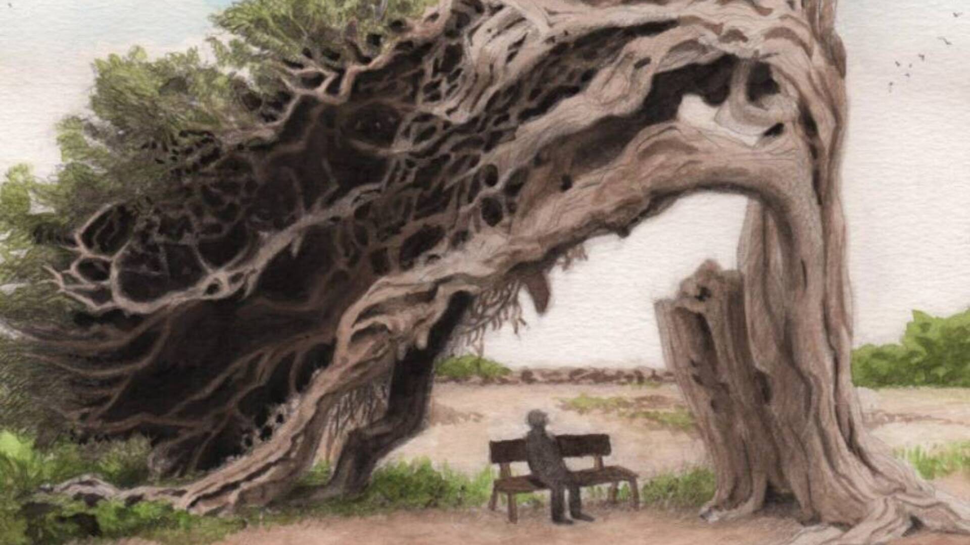 Perdersi e poi ritrovarsi, tra condivisione e dialogo. Il viaggio creativo di Silvia Ciccu