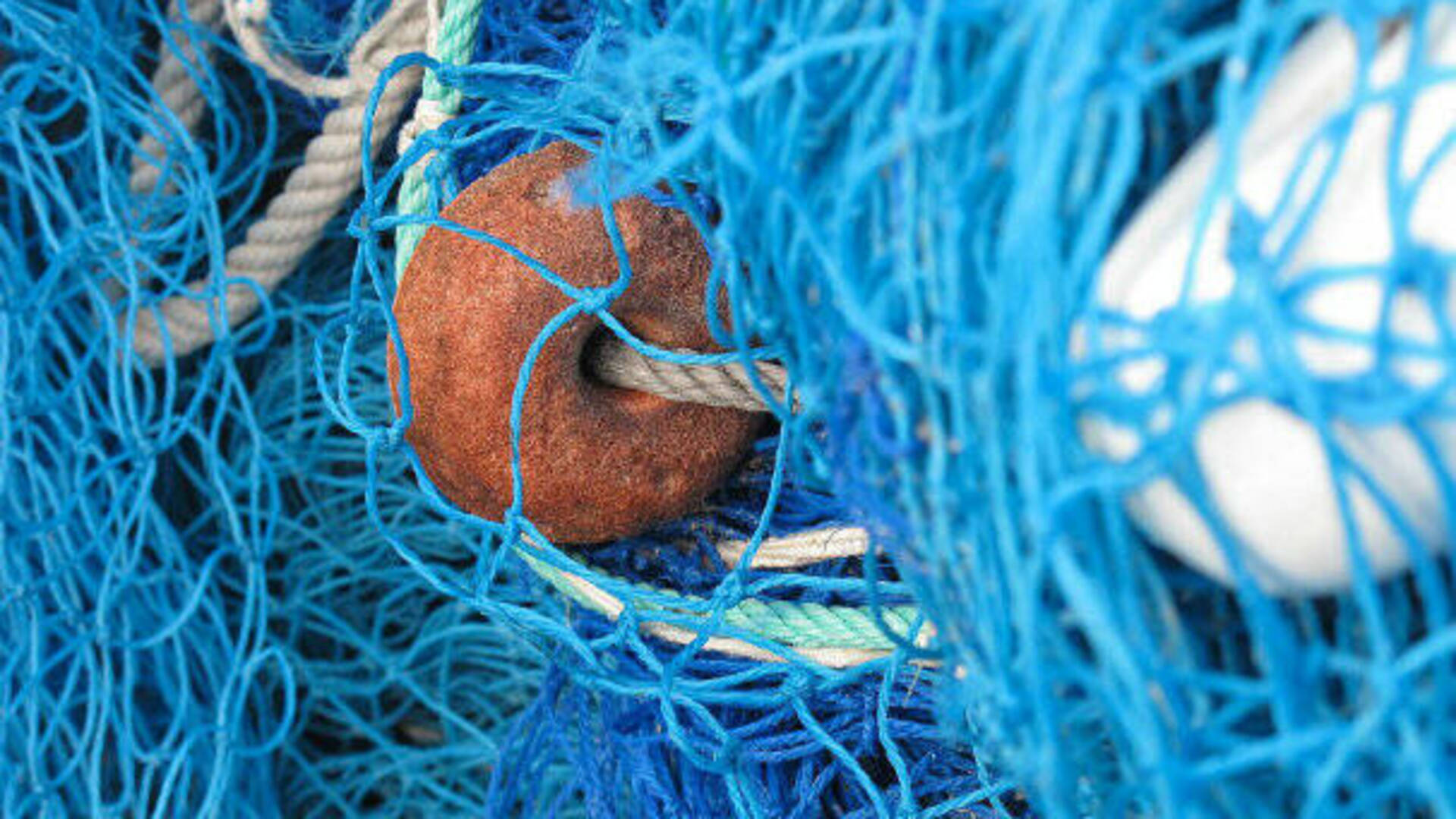 Controlli a tappeto in stagni e canali: pescatori sanzionati, rete sequestrata