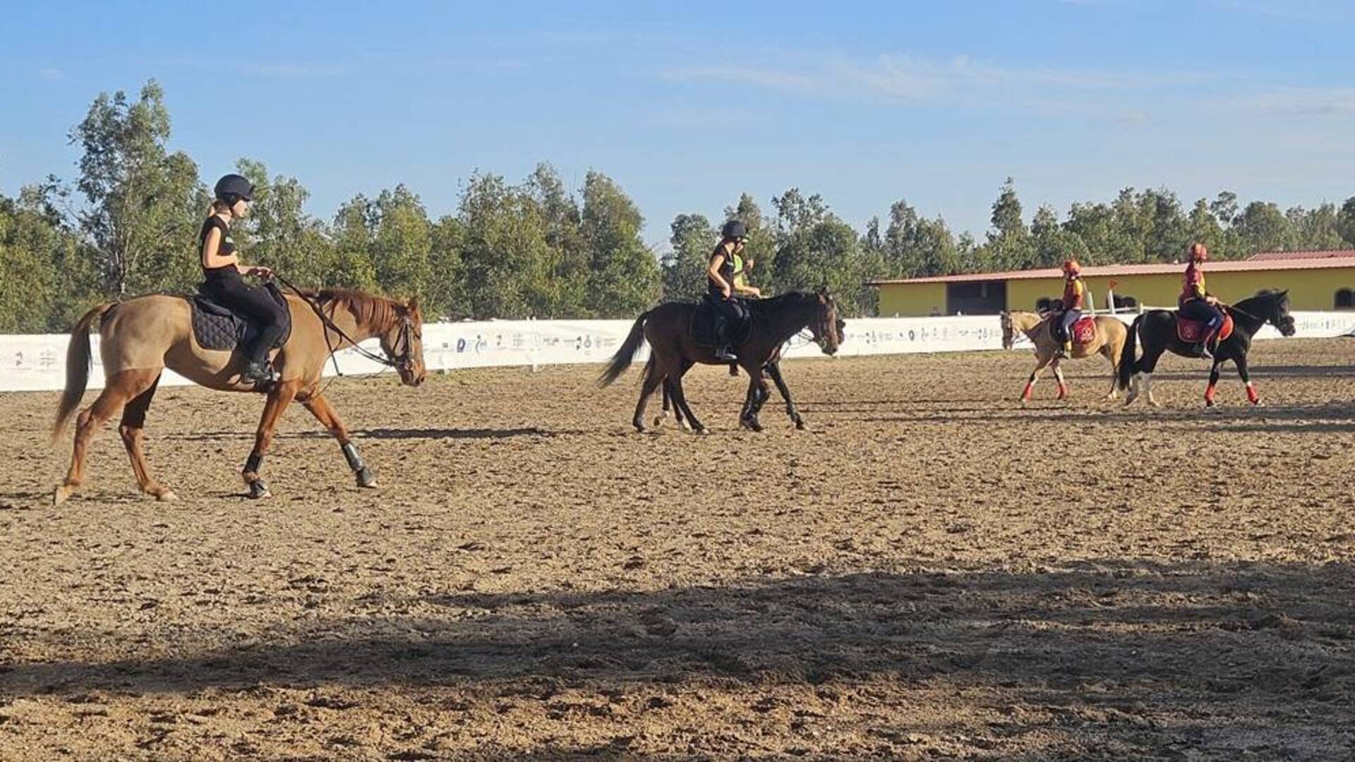 Sardinia Equitation Festival di Arborea: ecco tutti i vincitori delle competizioni dedicate ai pony