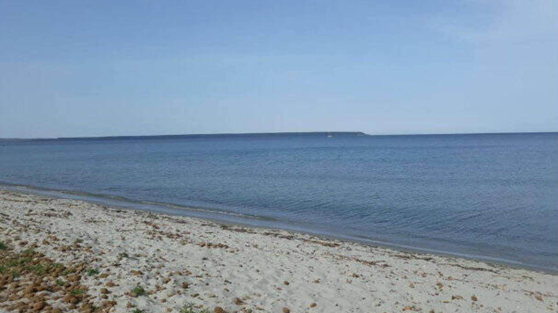 Ad Arborea più accessibilità, una spiaggia per cani e tavolini nella pineta. Ecco il nuovo Piano di utilizzo dei litorali