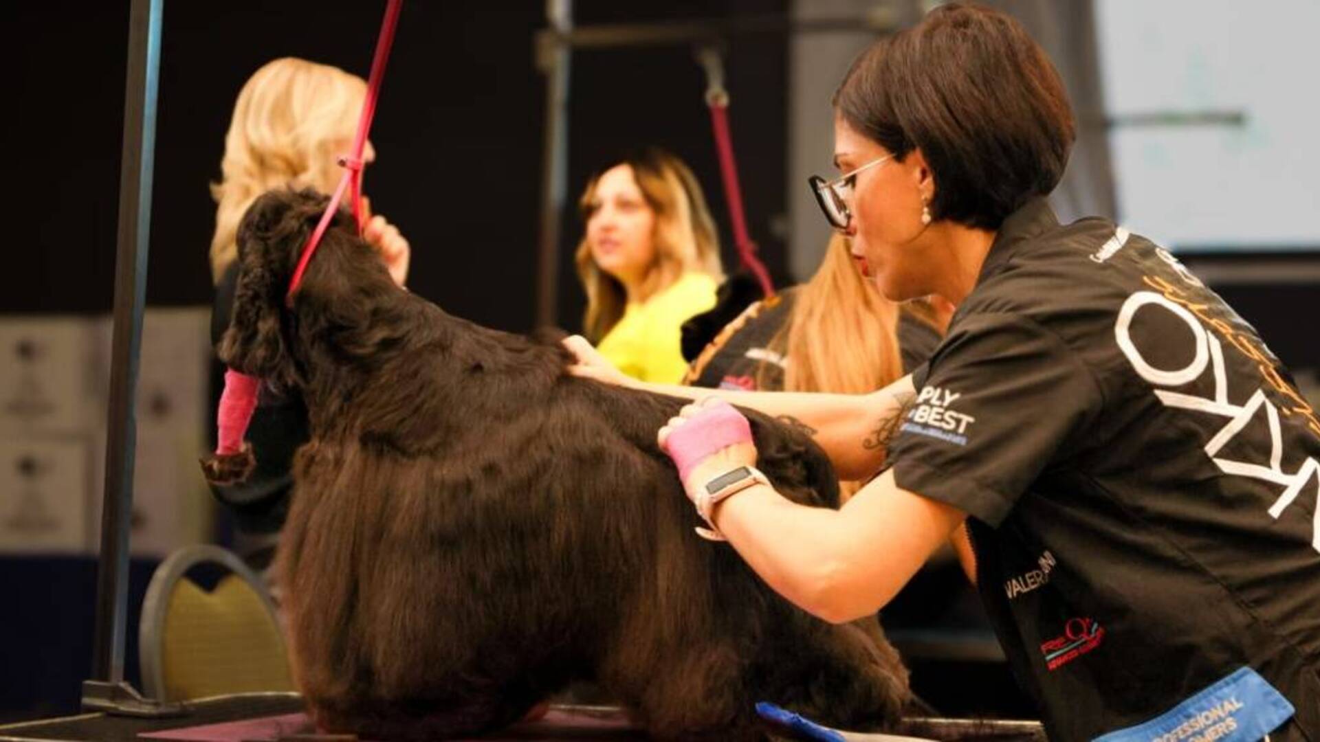 Valeria Pilloni - toeletta cani