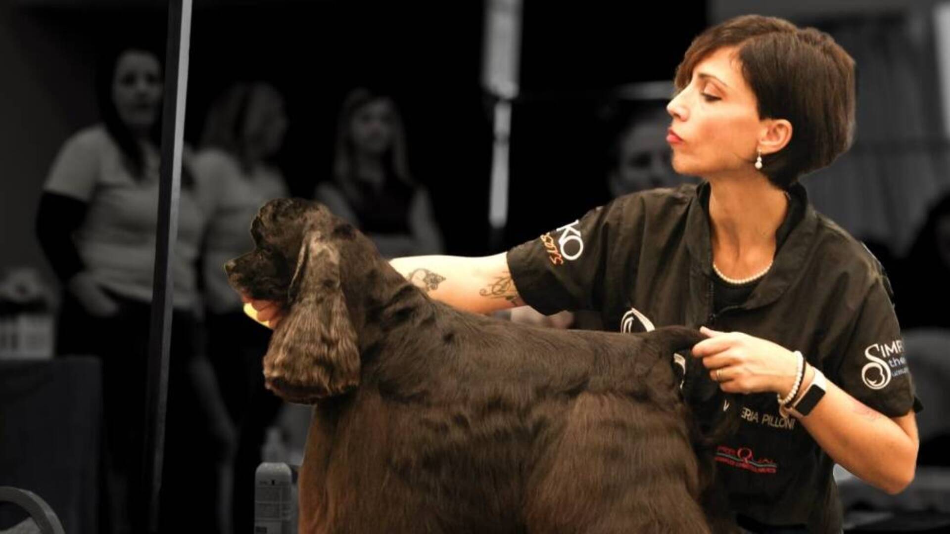 La toelettatrice Valeria Pilloni di Terralba sul podio della “Romeo Grooming”