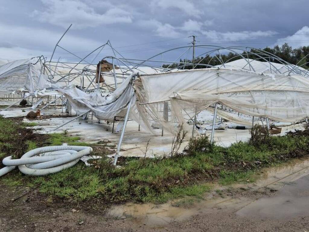 Tromba d'aria colpisce le campagne del Terralbese. Danni alle aziende agricole