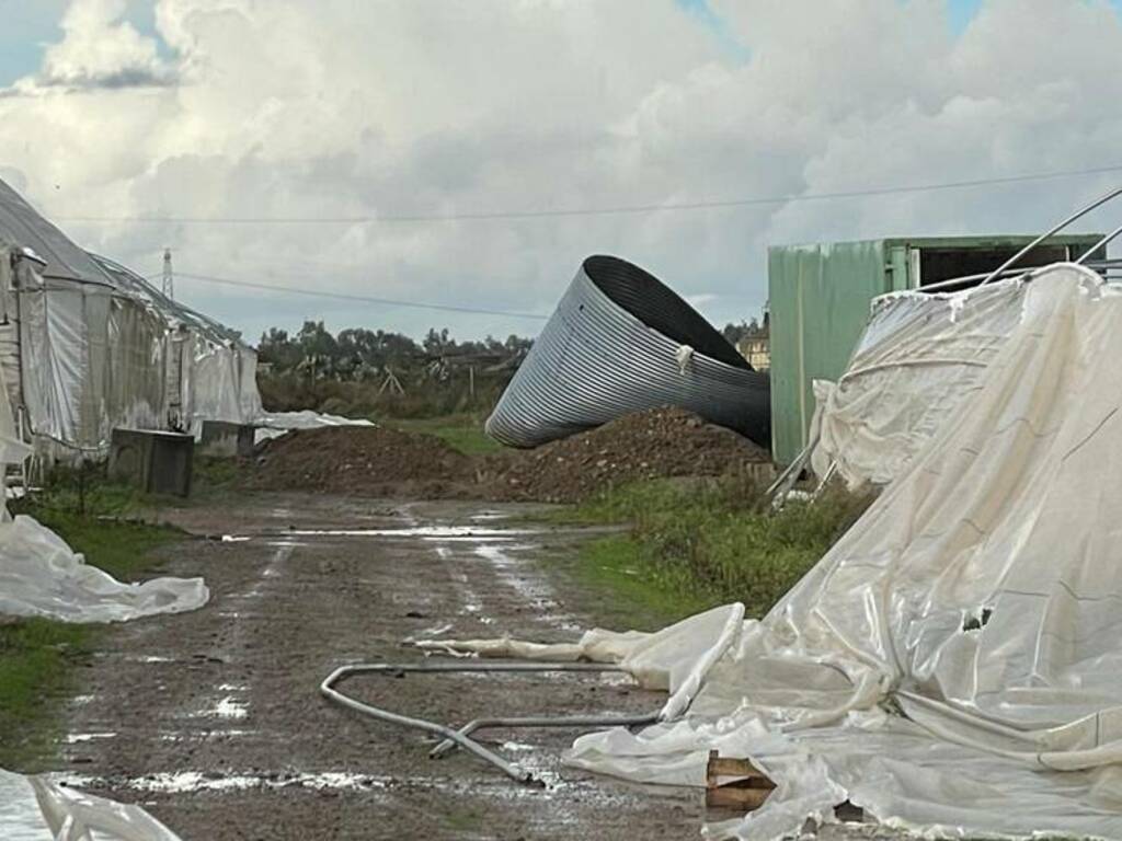 Tromba d'aria colpisce le campagne del Terralbese. Danni alle aziende agricole