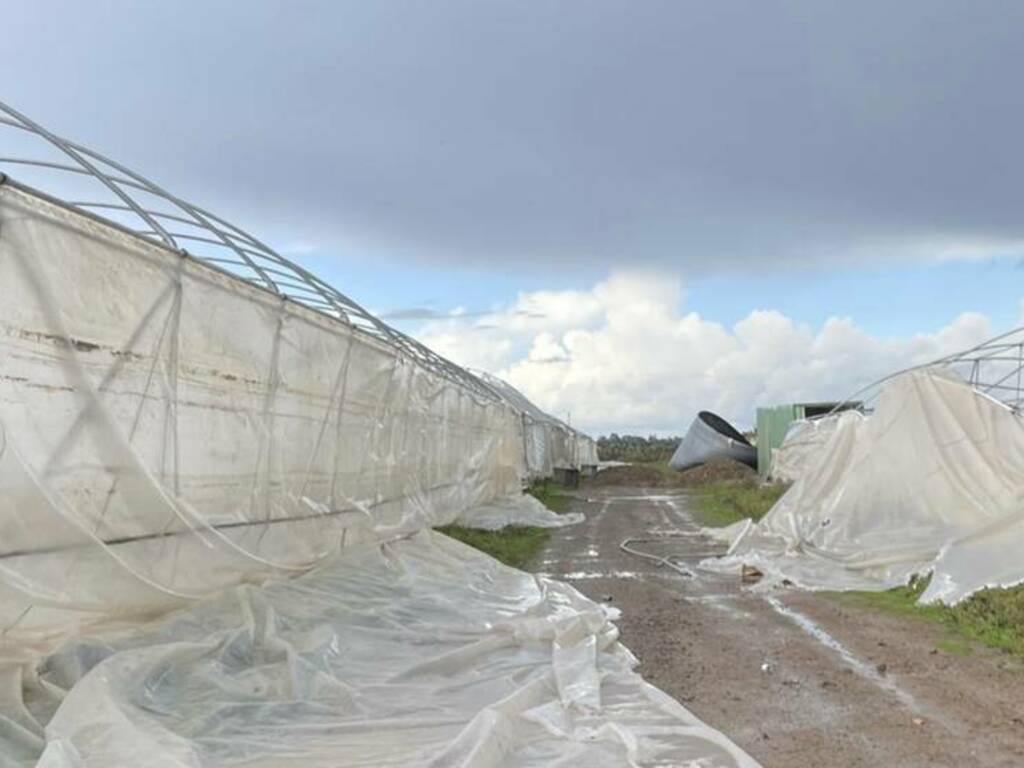 Tromba d'aria colpisce le campagne del Terralbese. Danni alle aziende agricole