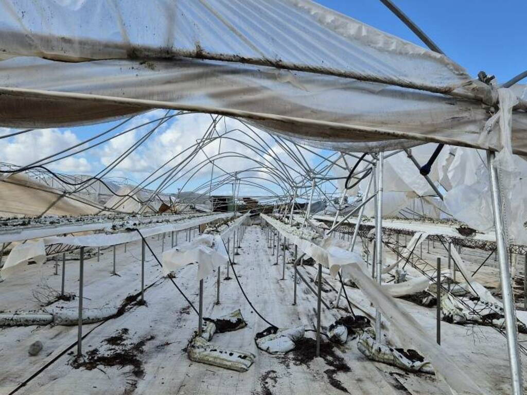 Tromba d'aria colpisce le campagne del Terralbese. Danni alle aziende agricole