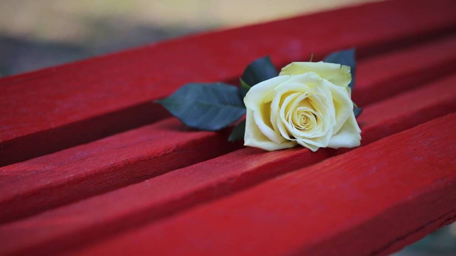 Violenza di genere, uomini e donne invitati a riflettere con l’esperta