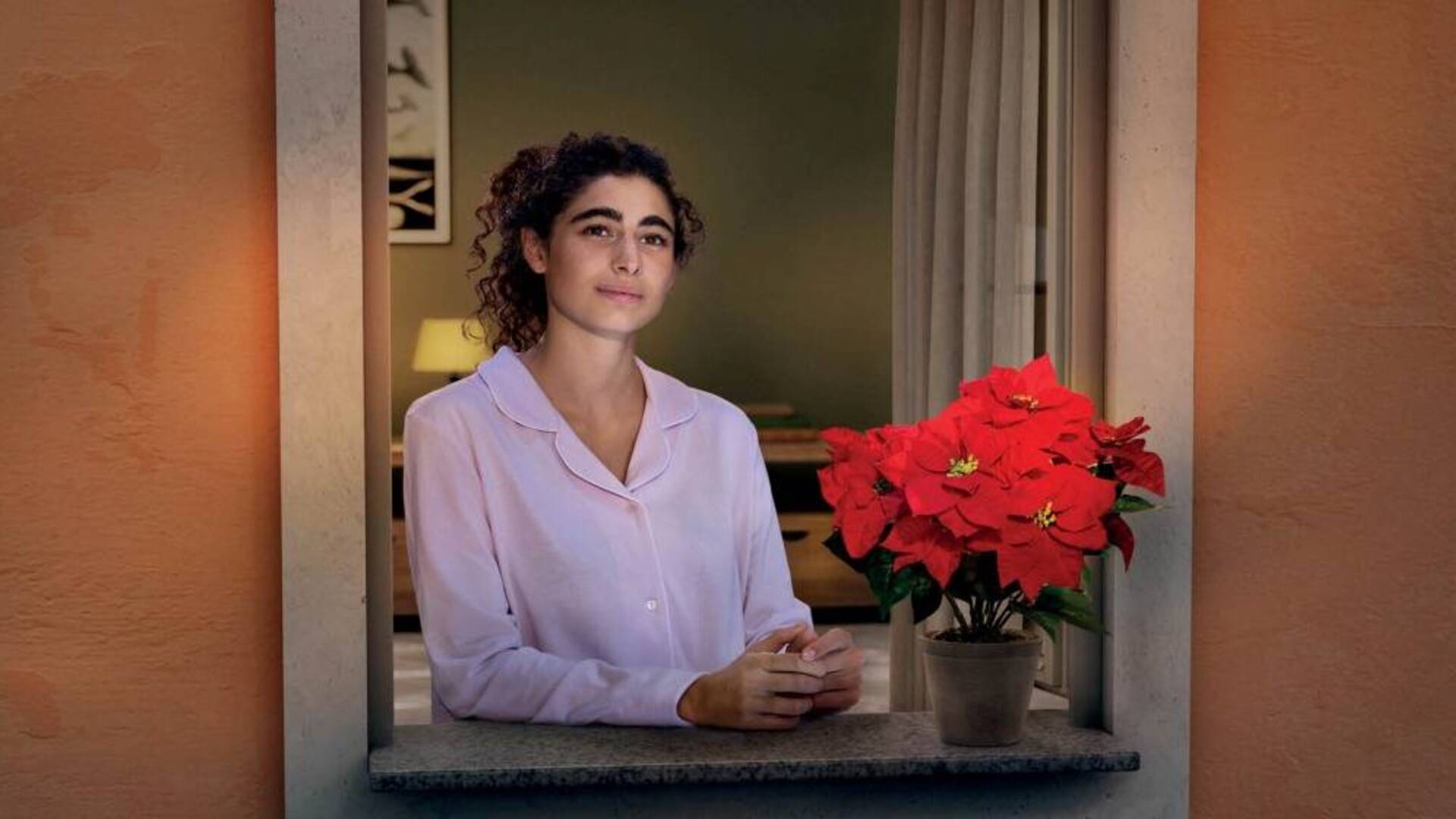 Tornano le stelle di Natale dell’AIL: tutte le piazze nel Terralbese e dintorni