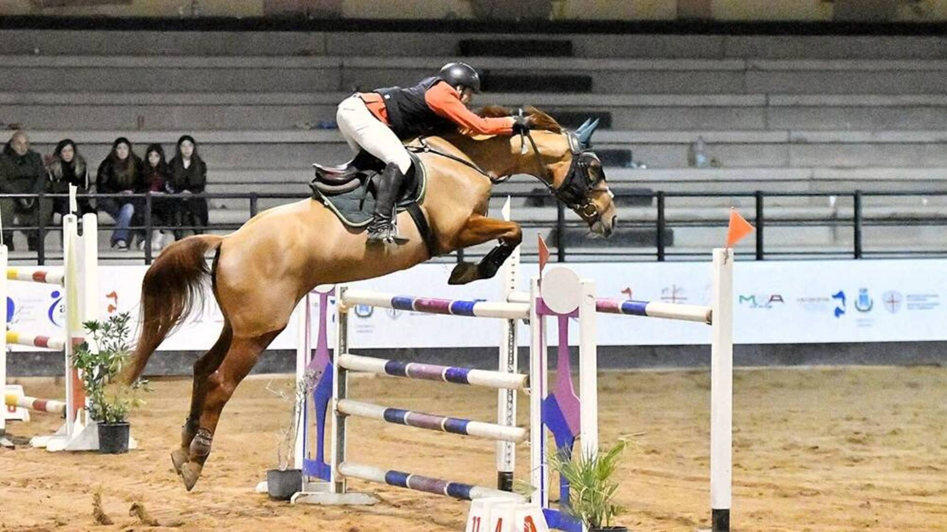 Marco Pau e Luigi Iriu vincono il Campionato regionale invernale di salto ostacoli