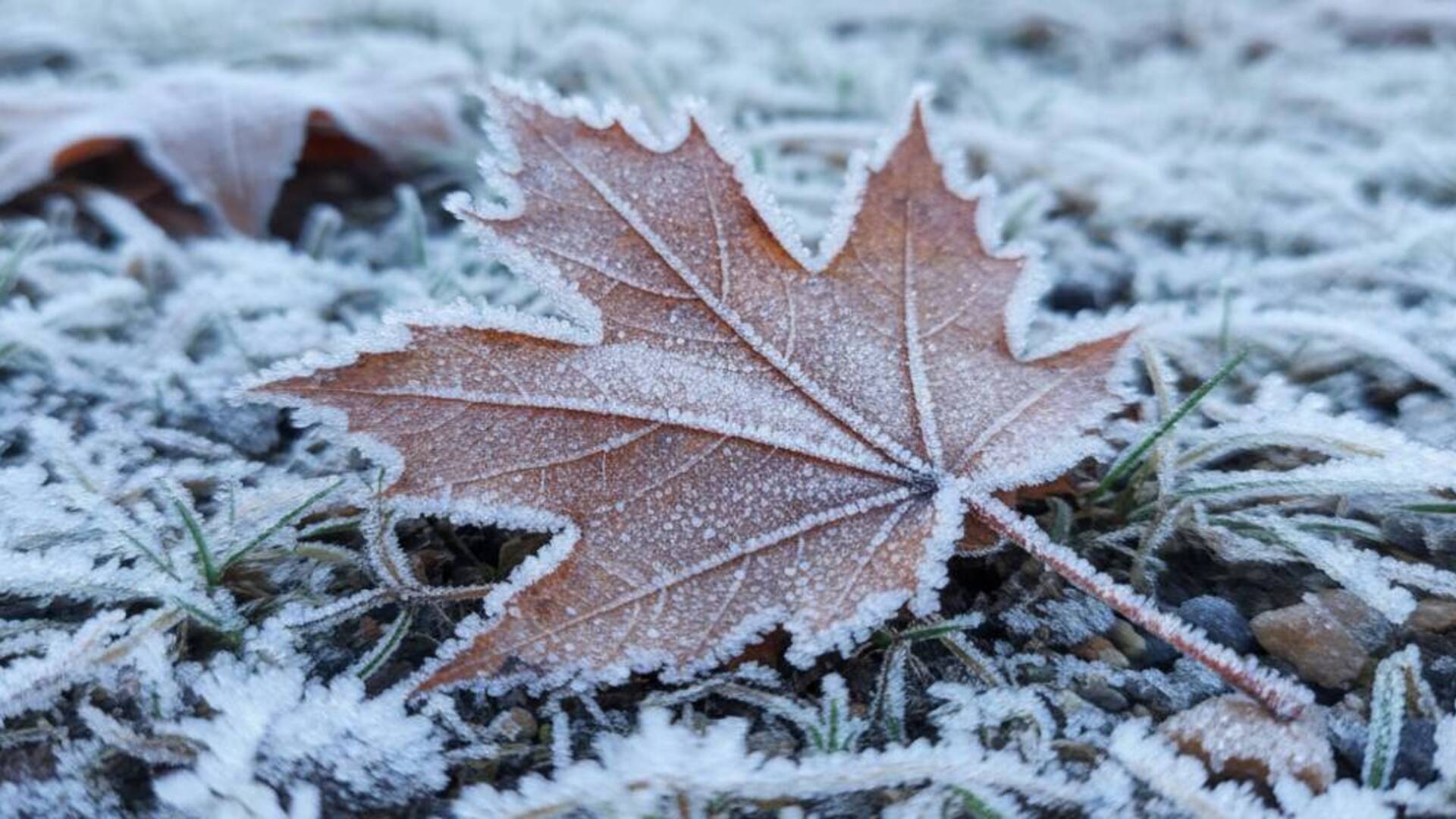 Freddo e gelo nel Terralbese e nel Medio Campidano: temperature sotto lo zero
