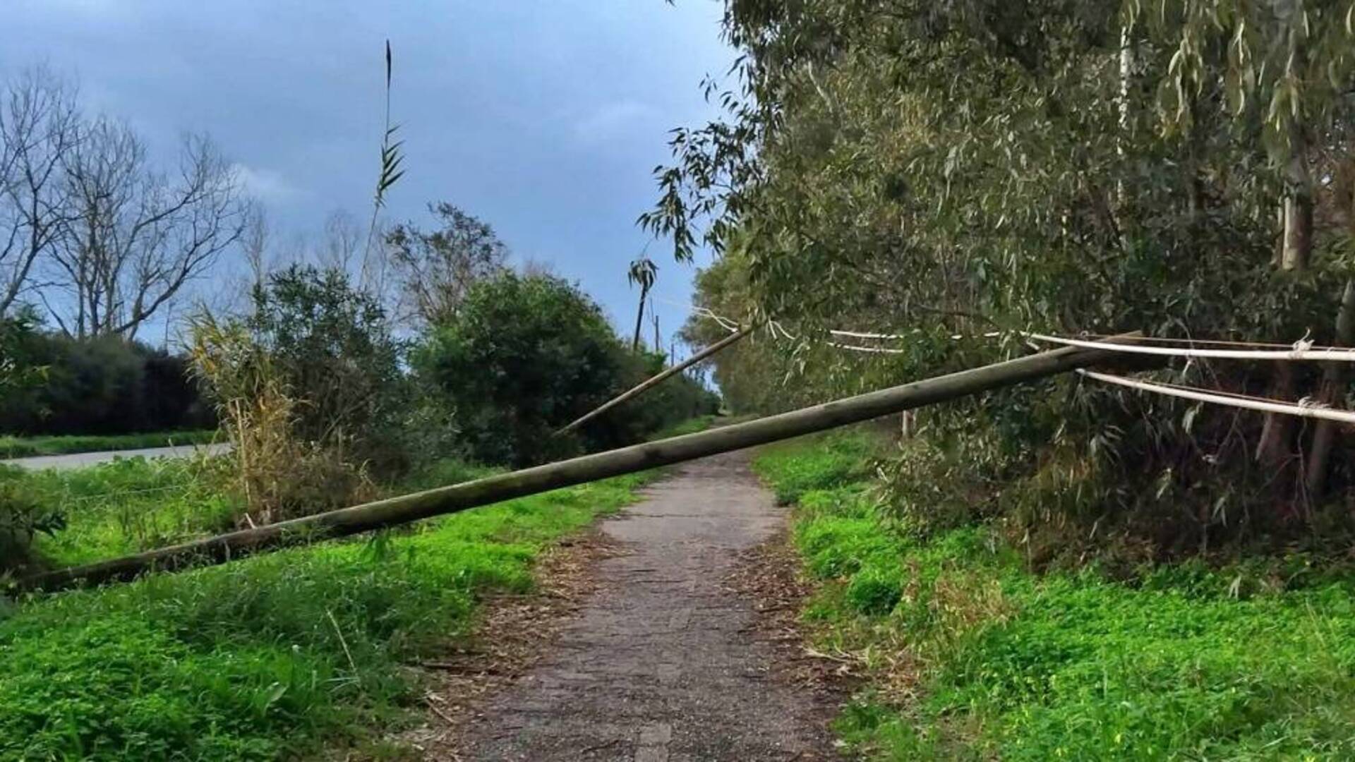 Maltempo, cinque pali della rete telefonica cadono sulla pista ciclabile