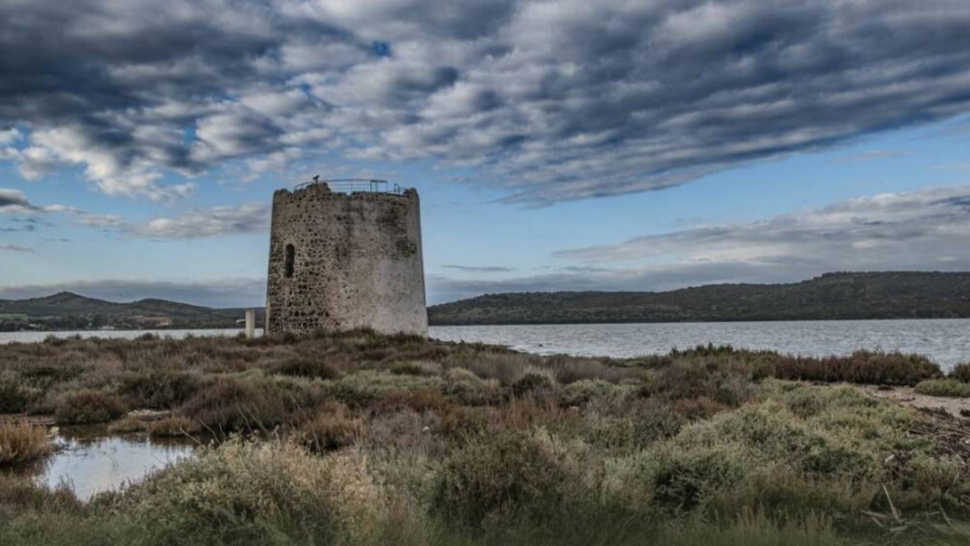 Giornata mondiale delle zone umide: gli eventi nel Terralbese