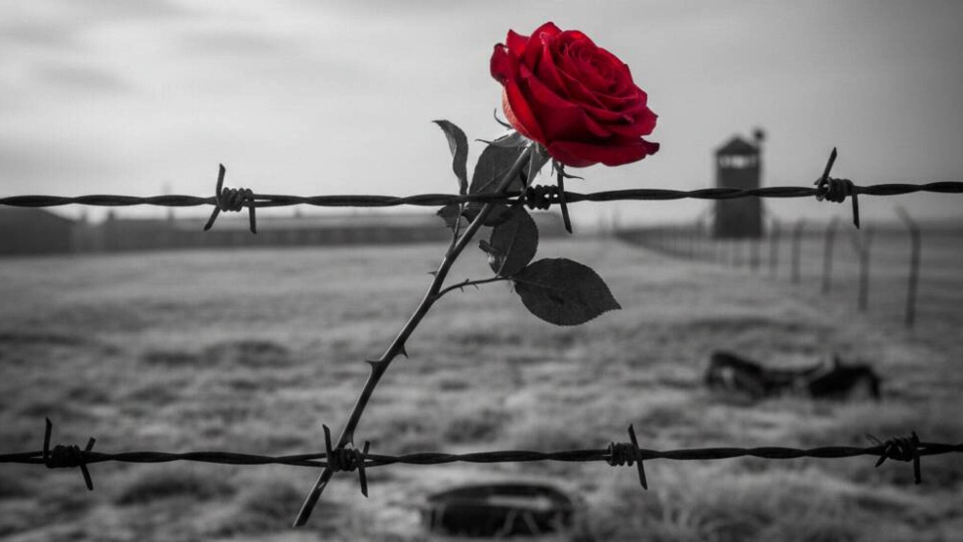 Arborea ricorda le vittime dell’Olocausto tra memoria e letture