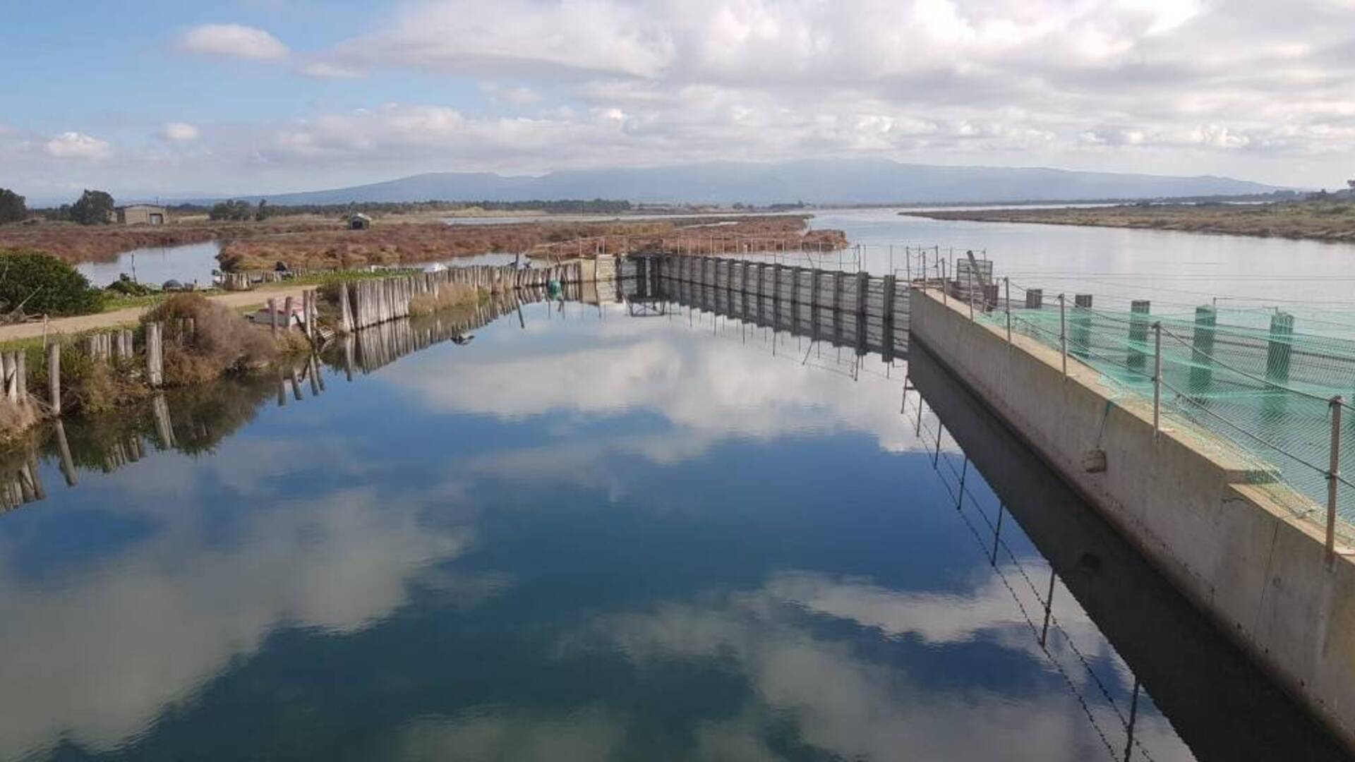 Compendio ittico S'Ena Arrubia 