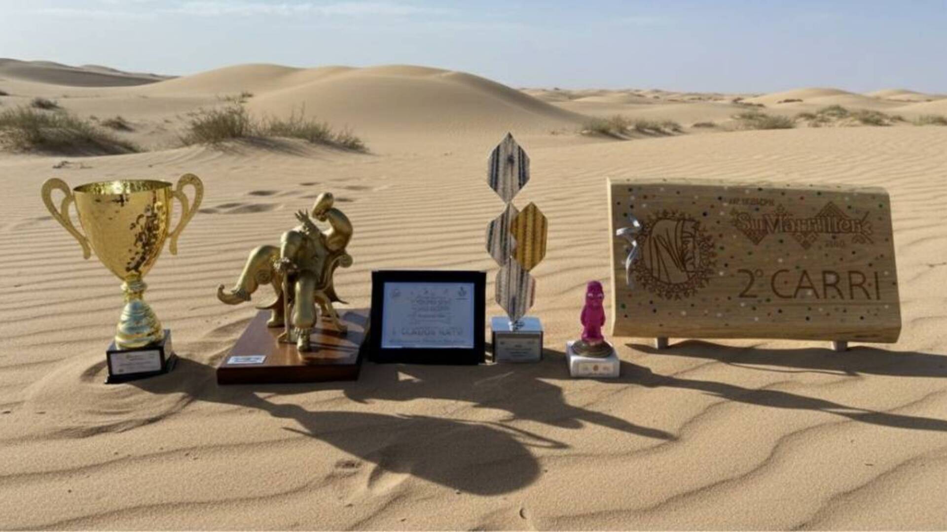 Gruppo Storpions Terralba Carnevale 2026