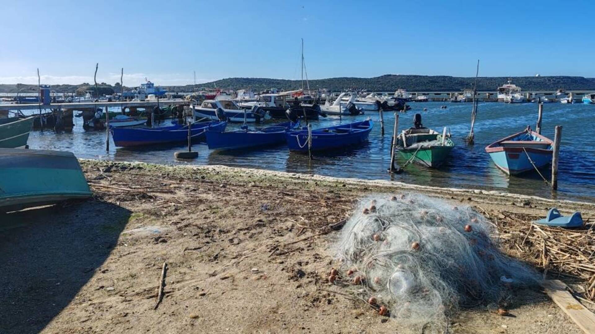 Normativa bertovelli e indennizzi cormorani, il Consorzio di Marceddì: “Pronti a scendere in piazza”