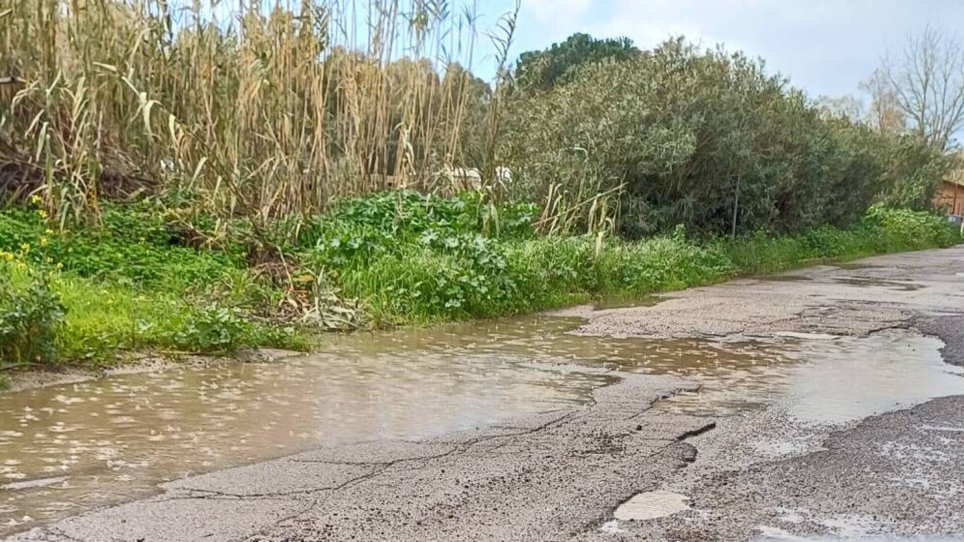 Strada provinciale 52 Arborea - Sassu