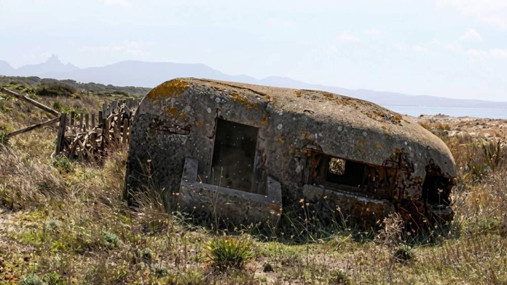 Bunker, fauna e natura selvaggia: un incontro sulle fortificazioni segrete di Arborea