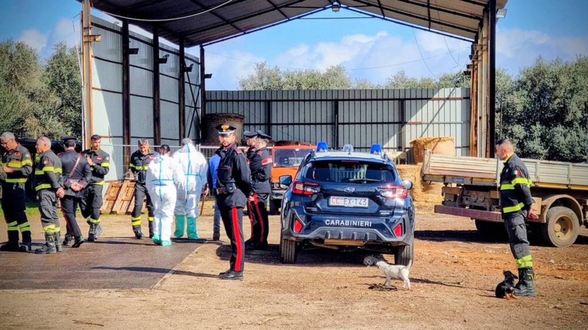 Sicurezza sul lavoro e sanità animale, maxi-controllo in un’azienda di legnami: titolare denunciato