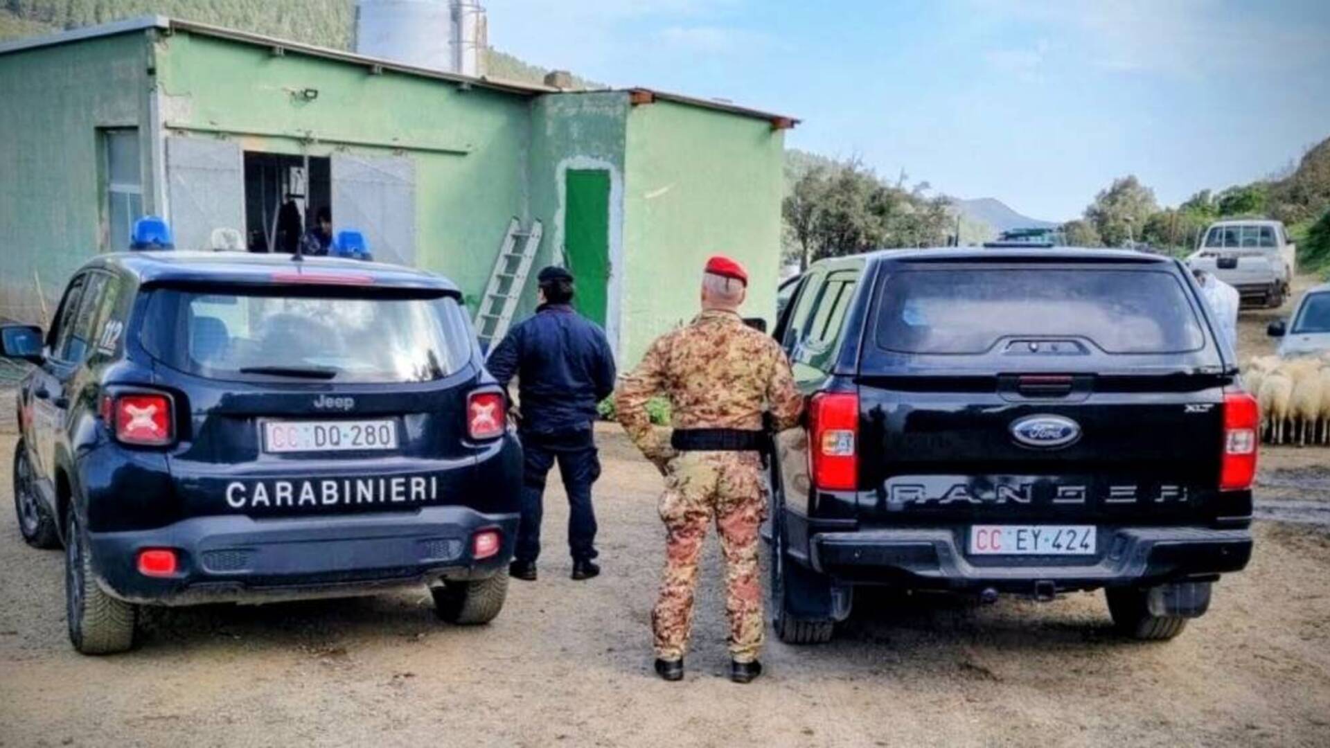 Nasconde munizioni e fucile detenuti illegalmente nel terreno dell’azienda: denunciato un allevatore