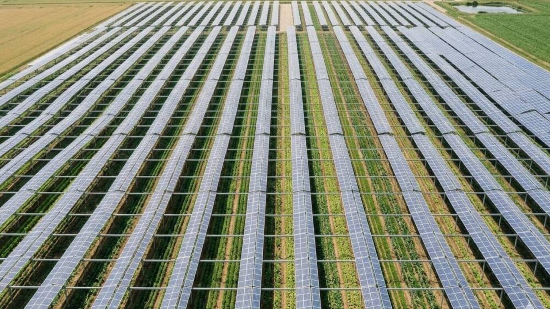 Regione, il Tar Sardegna conferma la legittimità del blocco dell’impianto agrivoltaico tra Guspini e Pabillonis