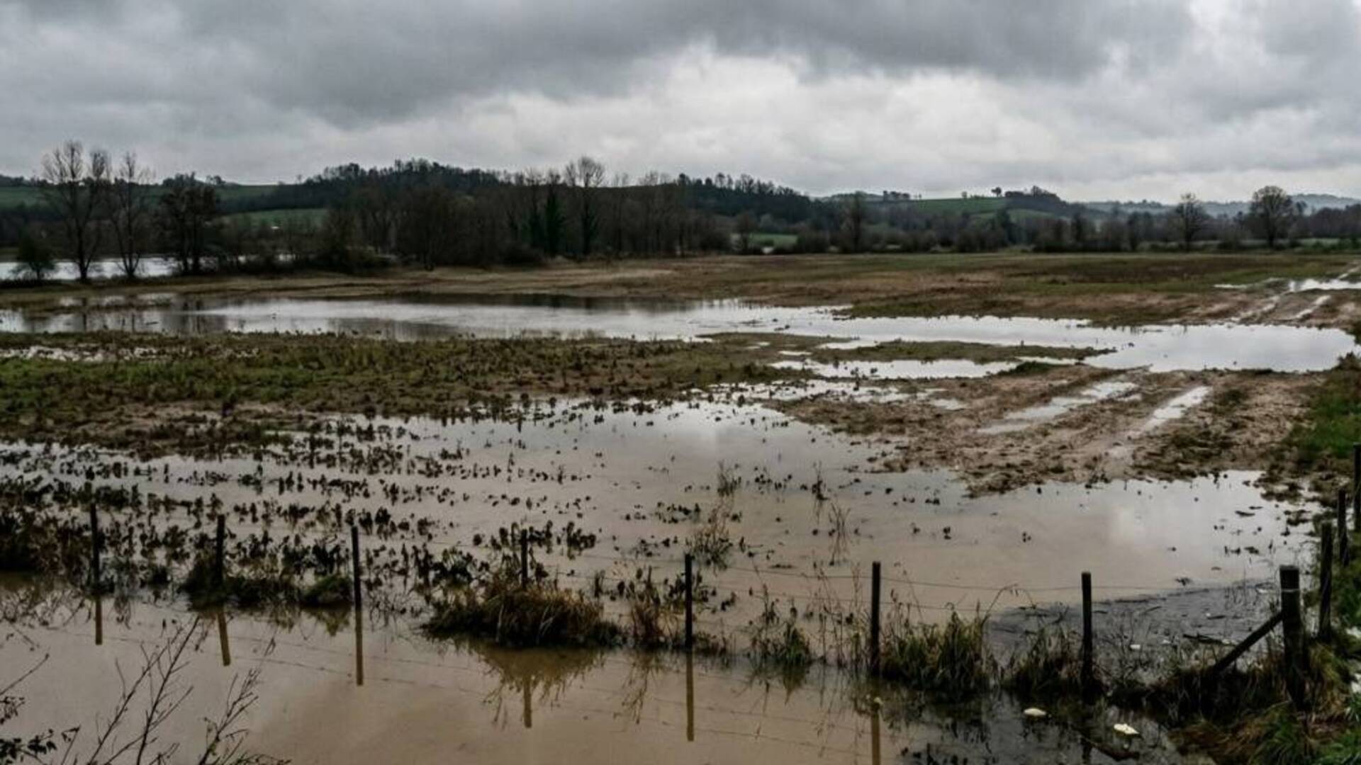 Dopo due anni, in arrivo gli indennizzi per le aziende colpite dal maltempo nel 2024