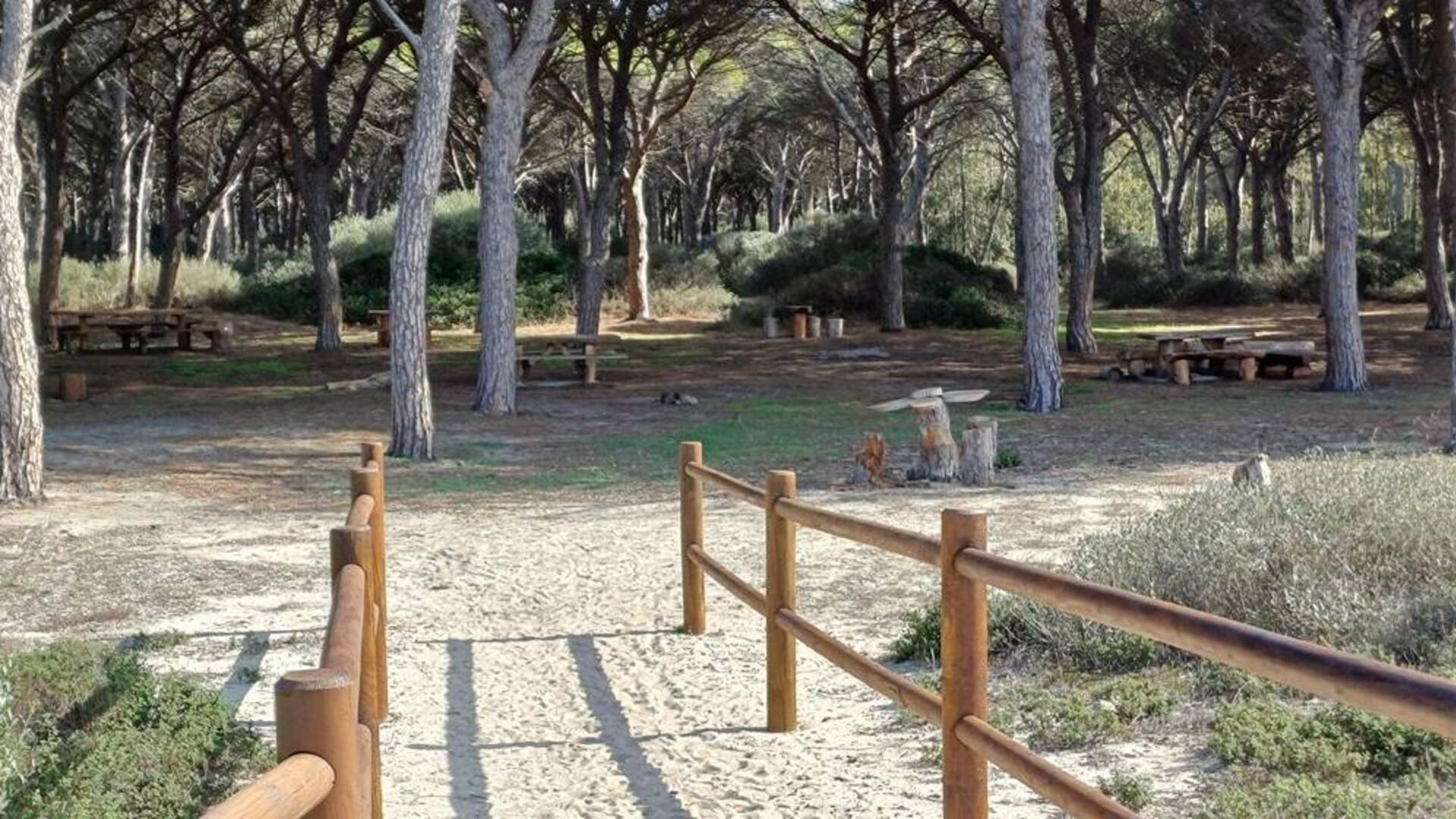 Ad Arborea un incontro sul Piano forestale particolareggiato