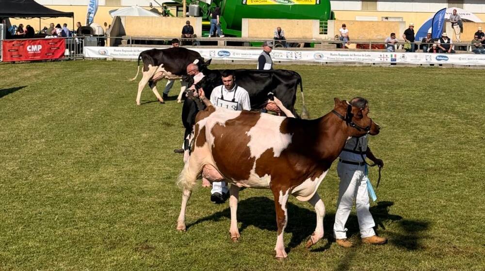 Fiera dell'Agricoltura di Arborea 