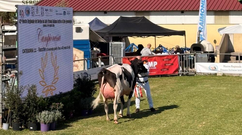 Fiera dell'Agricoltura di Arborea 