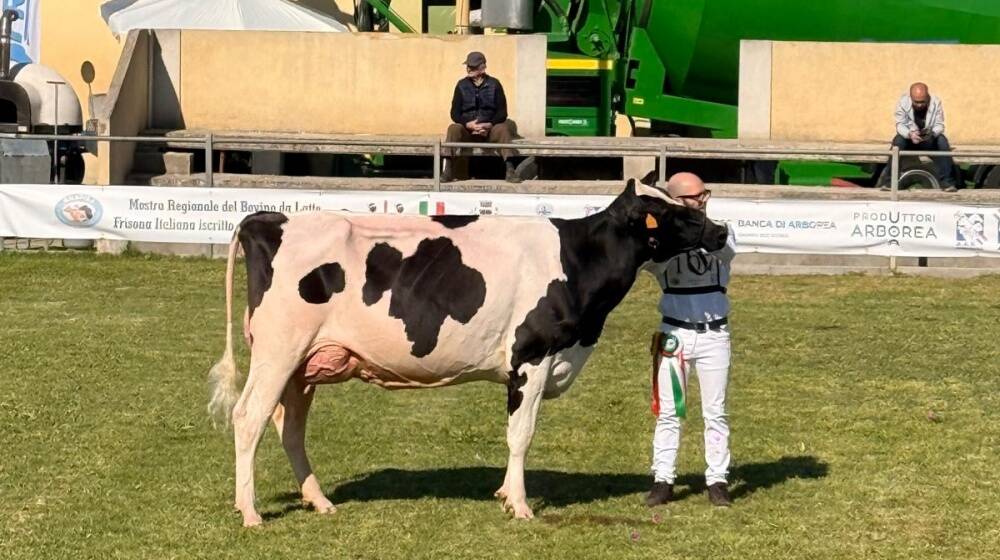 Fiera dell'Agricoltura di Arborea 