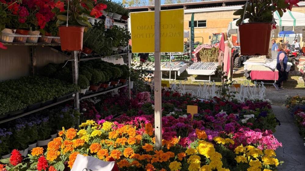 Fiera dell'Agricoltura di Arborea 