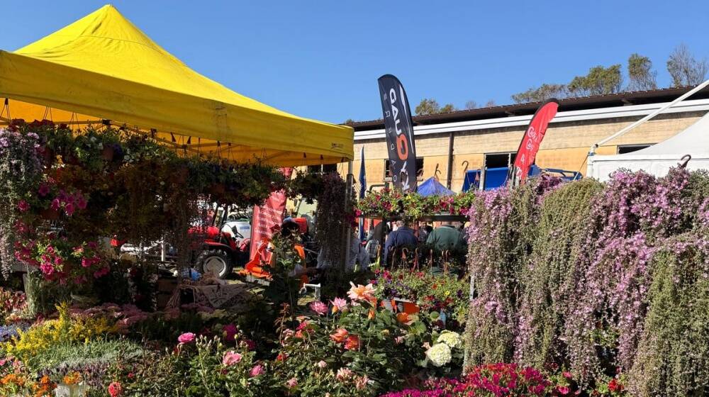 Fiera dell'Agricoltura di Arborea 