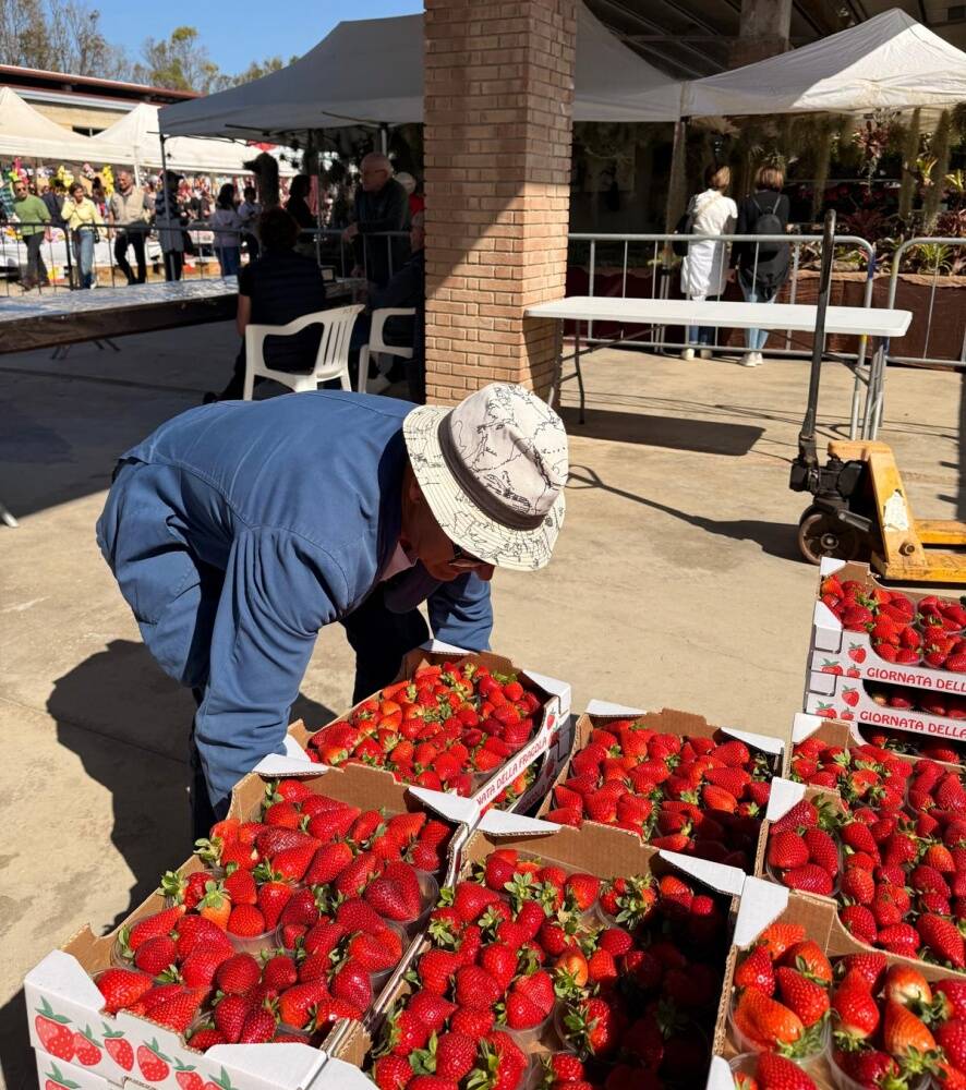 Fiera dell'Agricoltura di Arborea 