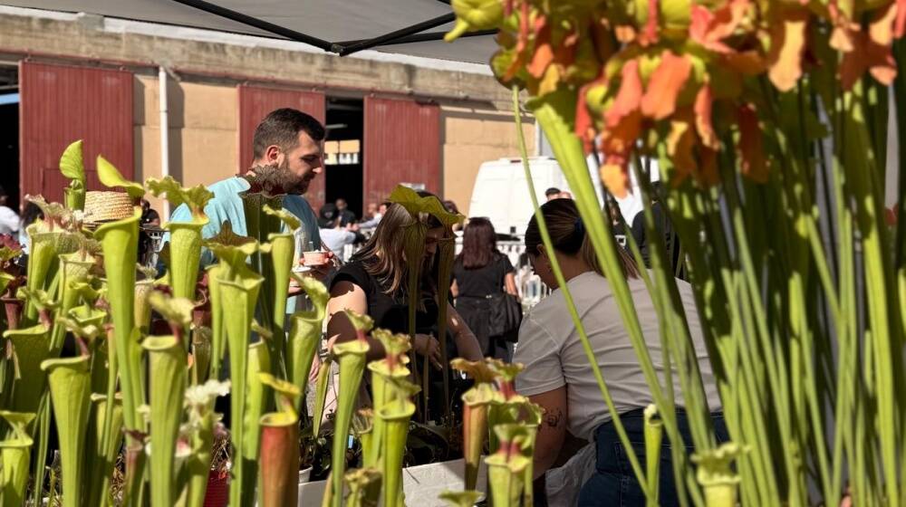 Fiera dell'Agricoltura di Arborea 