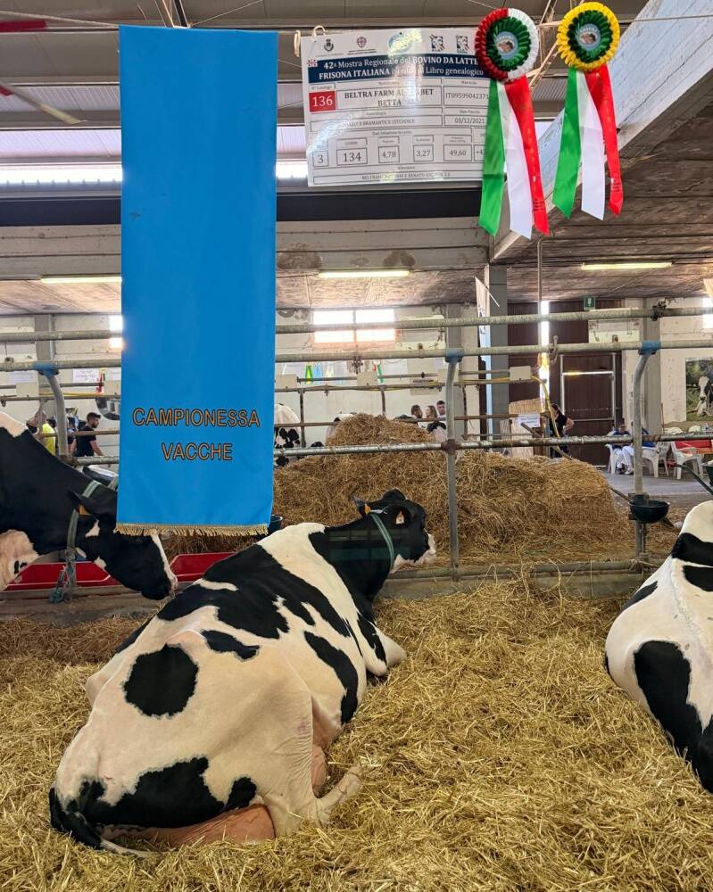 Fiera dell'Agricoltura di Arborea 