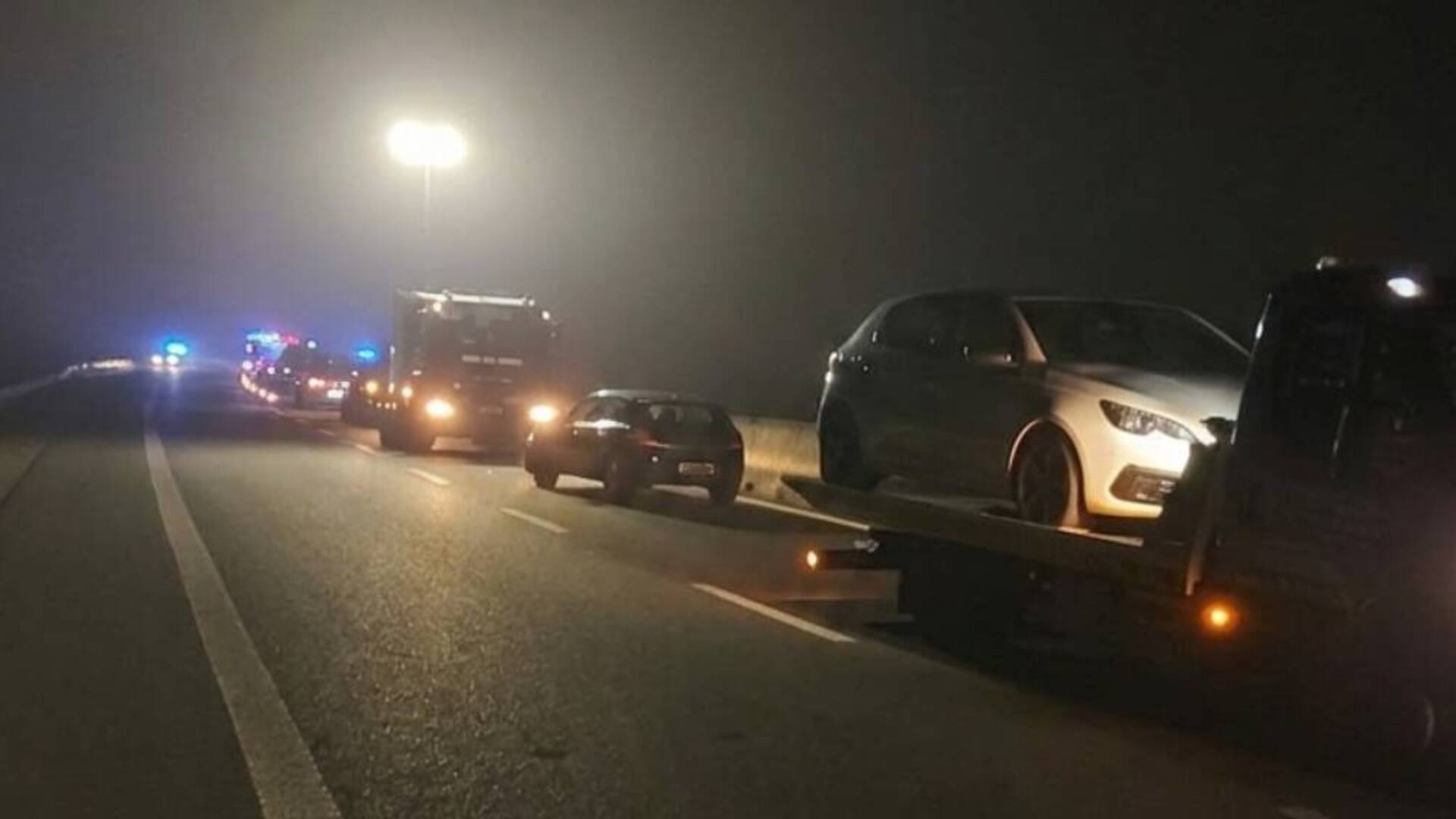 Finisce contro le barriere spartitraffico per evitare un cinghiale: incidente nella notte