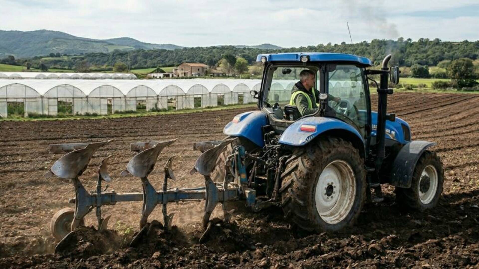 Opportunità di lavoro nel settore agroalimentare: a Terralba il Recruiting Day con le aziende del territorio