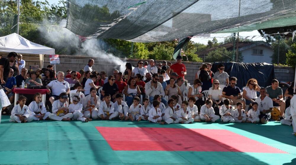 Judo in festa 
