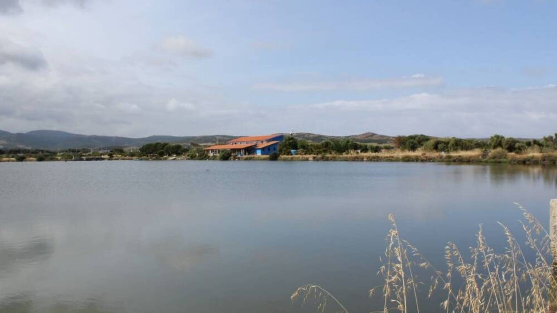 Acquacoltura, rinascita dell’ittiturismo e una fattoria didattica: il Consorzio pesca di Marceddì gestirà lo stagno di Pauli Biancu Turri