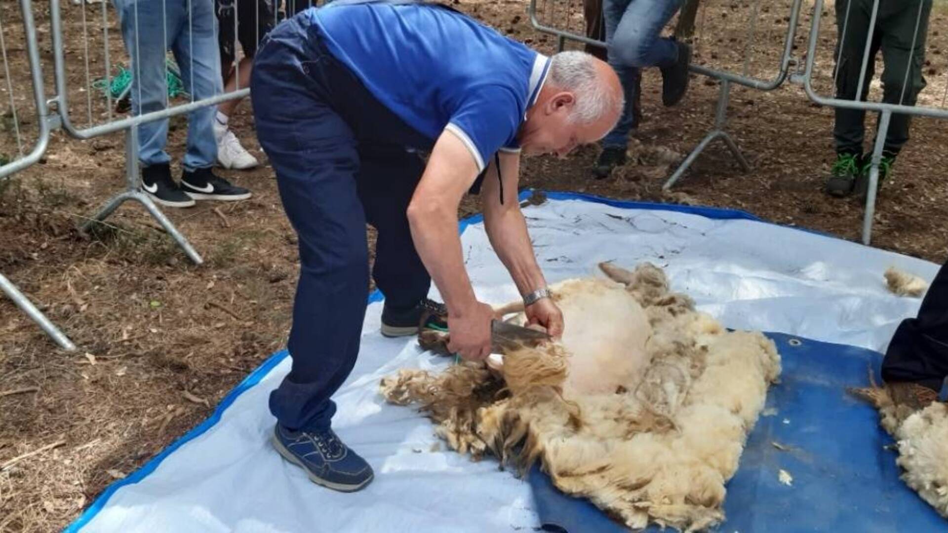 Tradizione e comunità ad Arcidano con “Su Tundidroxiu a s’Antiga”- Foto
