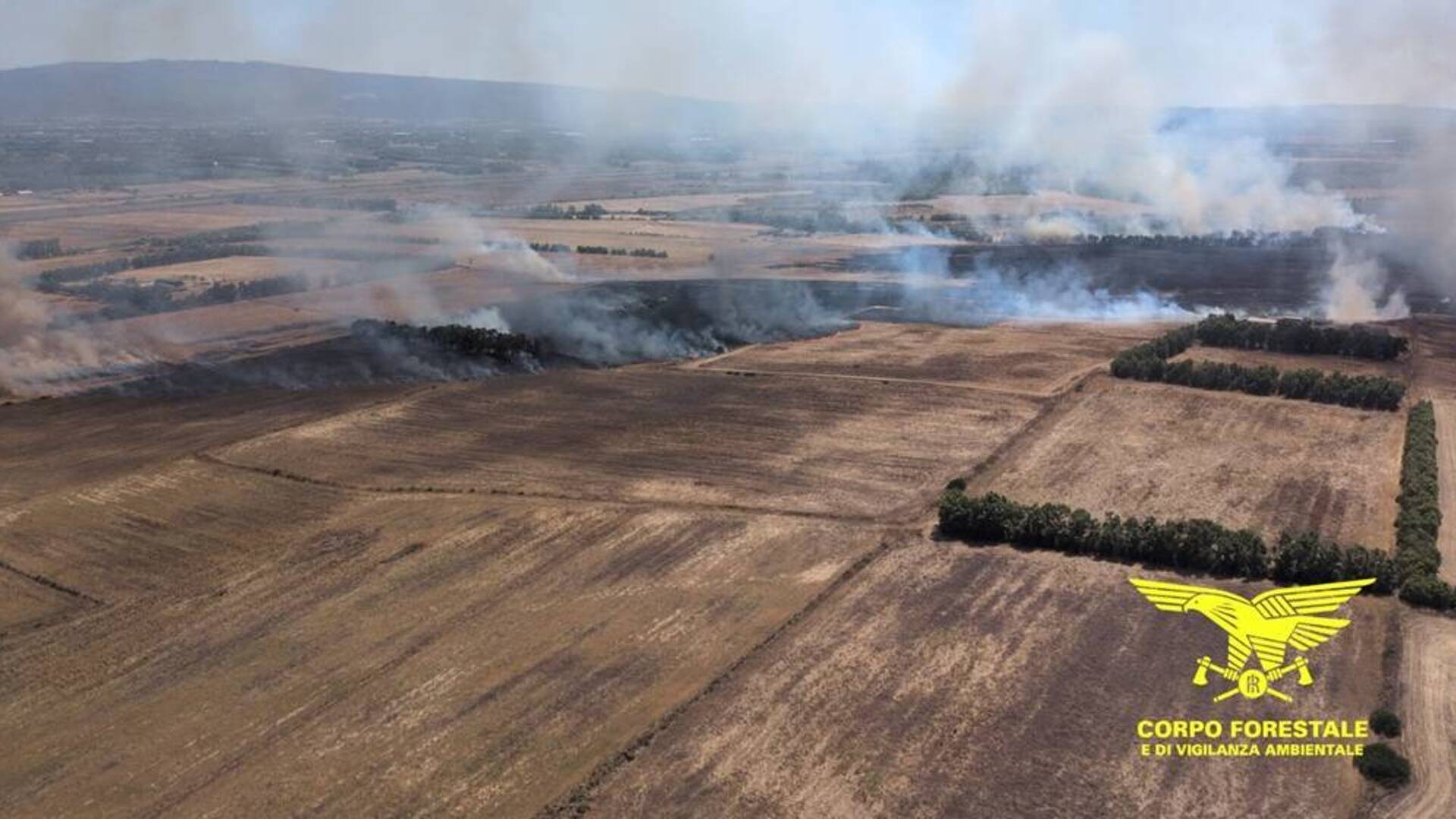 Vasto incendio nelle campagne, mobilitati elicotteri e Canadair per lo spegnimento