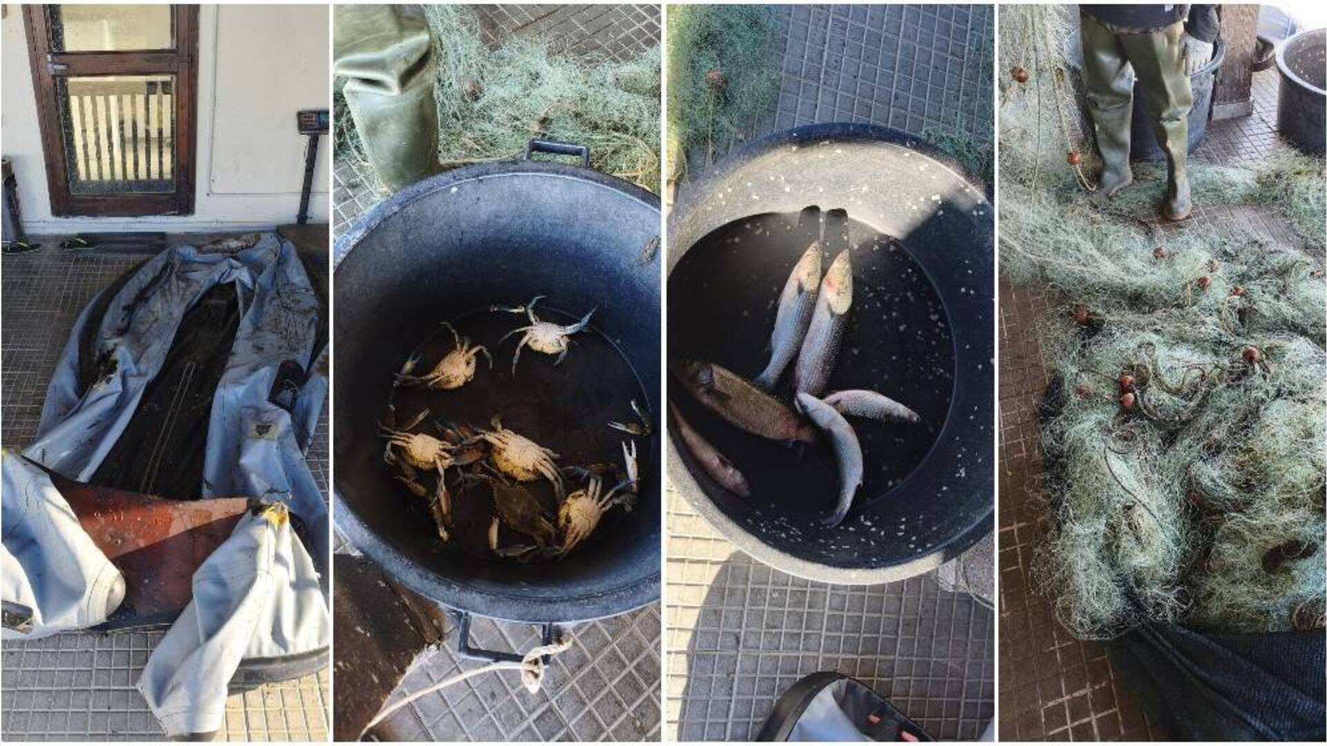 Pesca abusiva nello stagno: due persone sorprese dai carabinieri. Sequestrati pesci, reti e un gommoncino