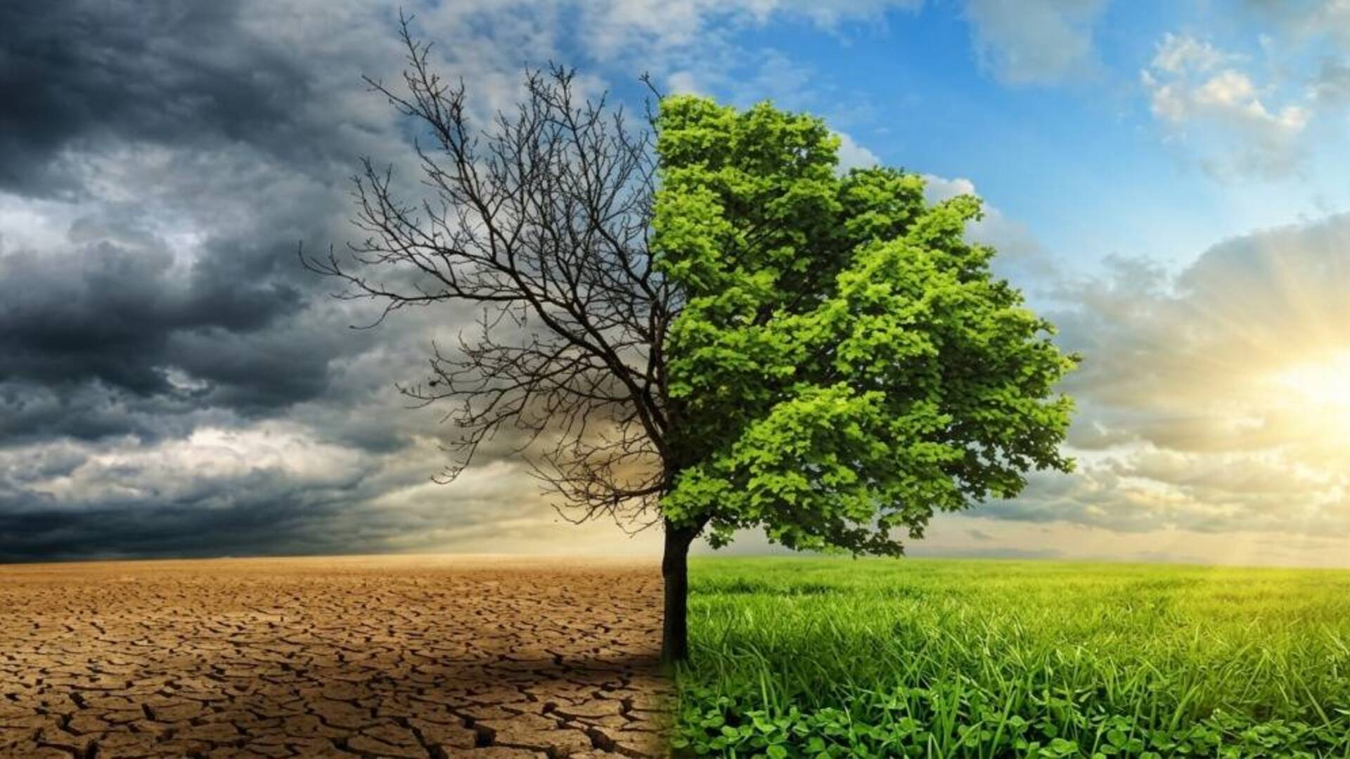 Terralba lancia la sfida “ClimaTe”, per creare un piano di adattamento ai cambiamenti climatici